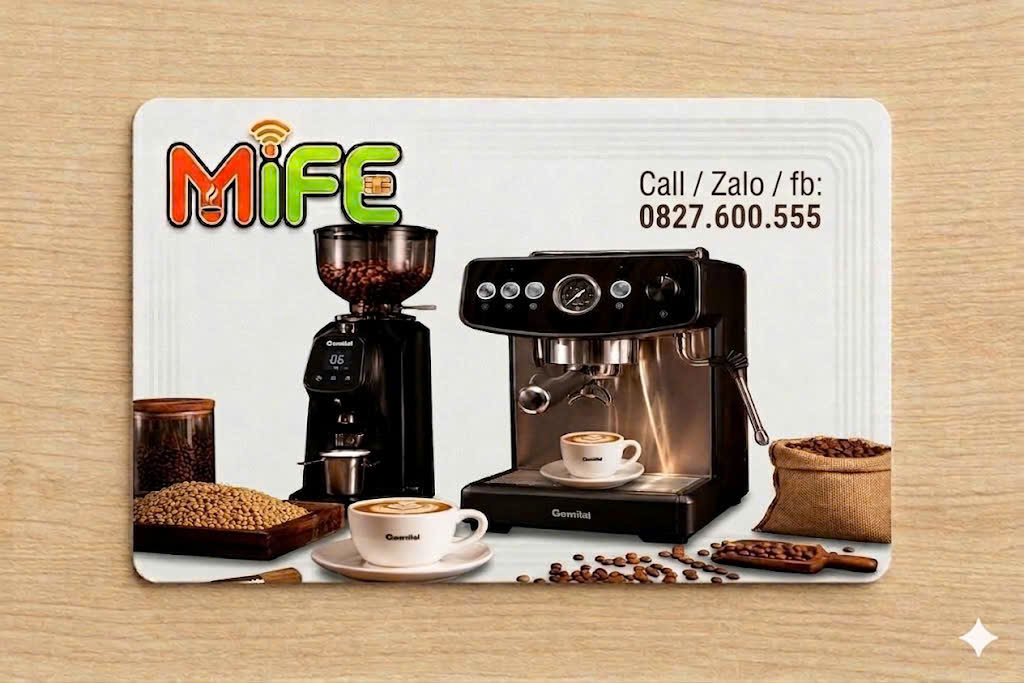 MIFE Smart Card